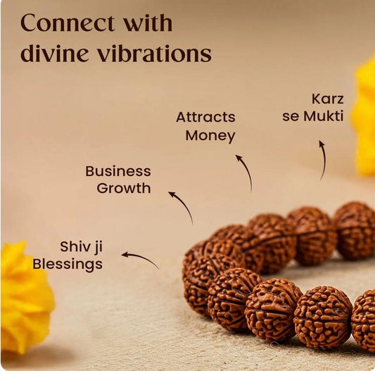7 Mukhi Rudraksha Bracelet – Lakshmi & Saturn Energy Bracelet