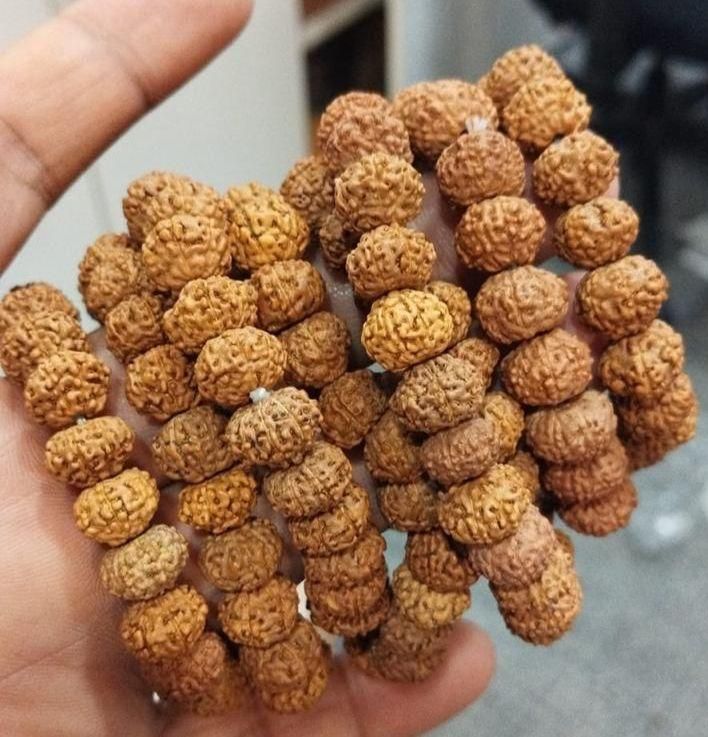7 Mukhi Rudraksha Bracelet – Lakshmi & Saturn Energy Bracelet