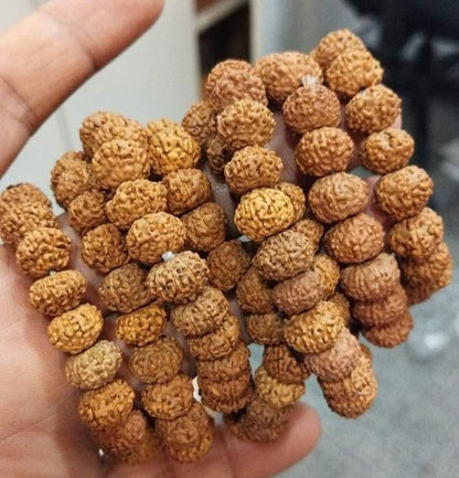 7 Mukhi Rudraksha Bracelet – Lakshmi & Saturn Energy Bracelet